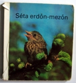Séta erdőn-mezőn  kihajtós könyv 12 oldalas