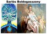 Sarlós Boldogasszony 8