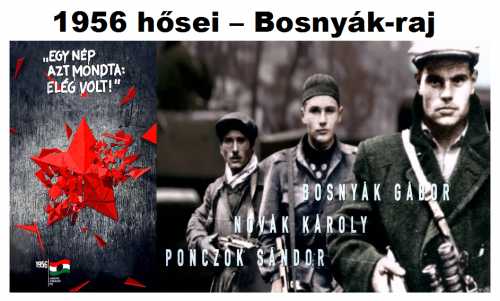 1956 hősei - Csányi Sándor