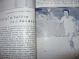  A magyar úricsalád ARANYKÖNYVE
