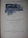 Kada Elek: A darázs mérge (1893, Pataky rajzaival)