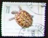 Állatos bélyeg görög teknős 2001 pecsételt