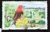 Madaras bélyeg keresztcsőrű bélyeg 2008 pecsételt