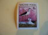 Postatiszta fogazott bélyegek 1980
