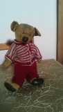 Teddy maci