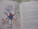 Tony Buzan: A Társas intelligencia hatalma