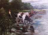 Itatás szürkületkor, a Tiszazugi holt Tisza part