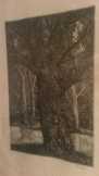 Id.Imre István 1953-ban bejegyzett munkája