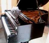 Antik Zongora