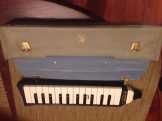 Hohner melodica piano 26