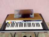Retro, Vitange elektromos orgona, eredeti táska