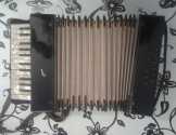 Tannhauser harmonika