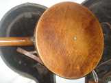 Vega Banjo 