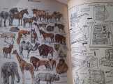 LAROUSSE LAROUSSE