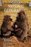National Geographic 32 példány angol nyelvű National Geographic 32 példány angol nyelvű