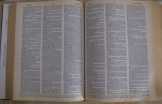 New Webster's Dictionary And Thesaurus