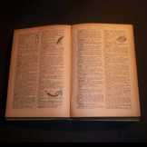Nuevo Pequeno Larousse Ilustrado 1951-es