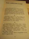 Radványi B. Tibor: Zsidóviccek 