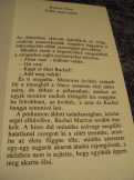 Robert Tine: Több mint testőr 