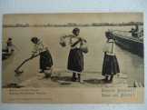 Mohács 1904