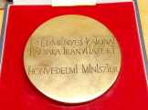 Hatalmas méretű honvédségi bronz plakett