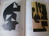 Vasarely