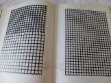 Vasarely