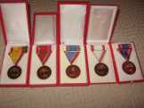 A "Haza fegyveres szolgálatában" kitüntetések