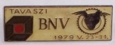 BNV tavaszi kiállítás 1979 kitűző