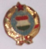 Kádár címer színes vörös csillaggal jelvény kitűző Kádár címer színes vörös csillaggal jelvény kitűző