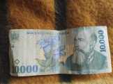 Romanian Lei