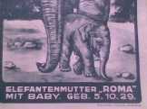 Plan Carl Hagenbeck's Tierpark 1929