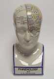 phrenology fej nagy PP-10