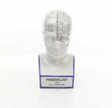 phrenology fej PP-11