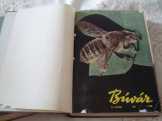 Búvárujság 1959-1965ig 3kötet