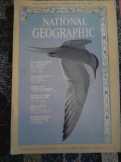 National Geographic eredeti angol nyelvű újságok
