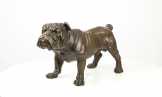 bronz angol bulldog YY-90