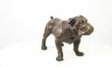 bronz angol bulldog YY-90