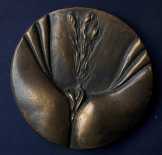 Tulip.. bronze erem Tulip.. bronze erem