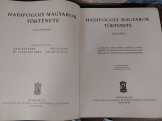 Hadifogoly magyarok története I-II. 